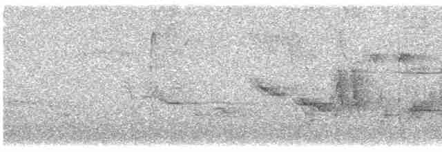 Oriole des vergers - ML617661649