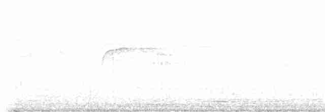 ヨーロッパアマツバメ - ML617661851