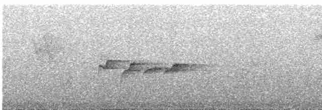 Gri Başlı Kanarya Sinekkapanı - ML617663575