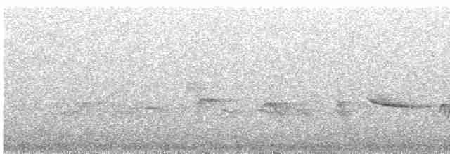 Papamoscas de Los Nilgiri - ML617664138