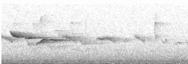 Gri Başlı Kanarya Sinekkapanı - ML617664273
