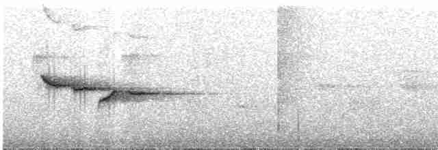 Gri Başlı Kanarya Sinekkapanı - ML617664284