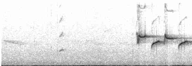 Gri Başlı Kanarya Sinekkapanı - ML617664289
