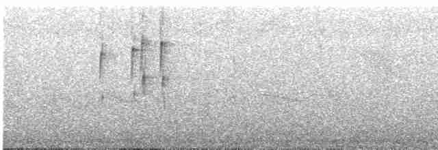 Карликовая нектарница - ML617666114