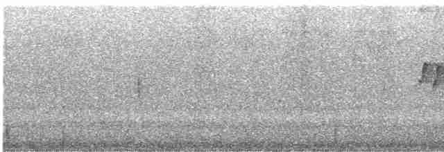 Мухолов-клинодзьоб сірий - ML617668838