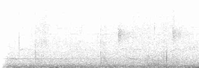 Мухолов-клинодзьоб сірий - ML617671498