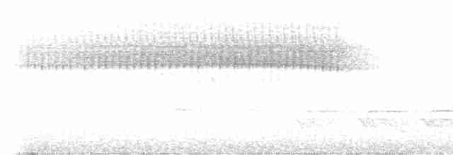 Paruline vermivore - ML617671528