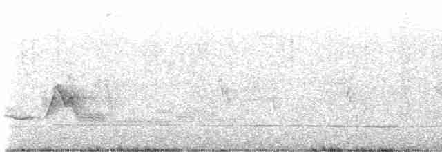 White-eyed Vireo - ML617671634