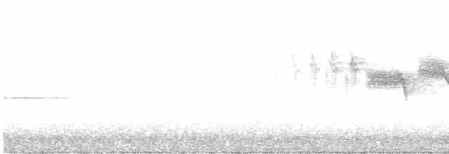 Black-throated Gray Warbler - ML617671651