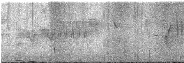 Cerulean Warbler - ML617672311
