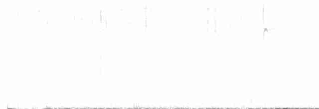 Чернітка білокрила - ML617676821