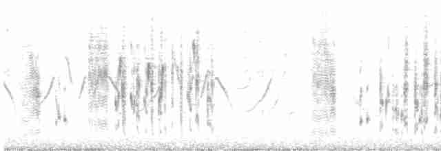 střízlík bažinný [skupina palustris] - ML617677486