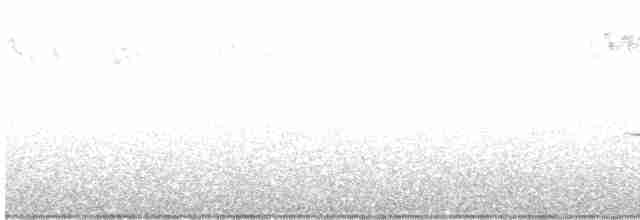 Тихоокеанский крапивник - ML617680027