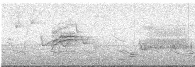 Дрізд-короткодзьоб плямистоволий - ML617680827