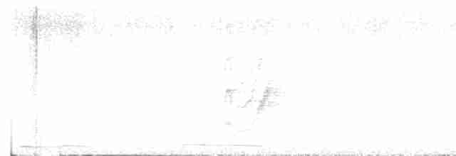Тиран товстодзьобий - ML617681706