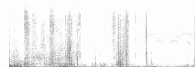 Marsh Wren (palustris Group) - ML617681719