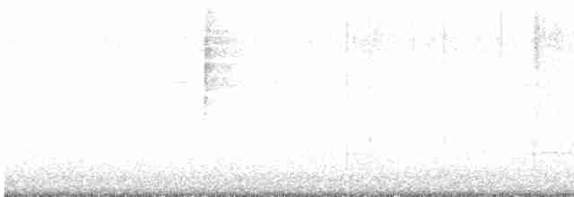 Sperlingsvogel, unbestimmt - ML617681752
