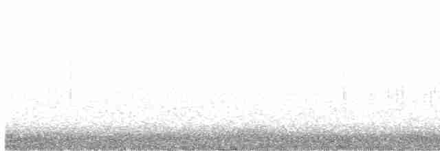 Ring-necked Pheasant - ML617683093