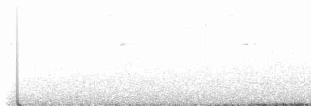 Yellow-rumped Warbler (Myrtle) - ML617683661