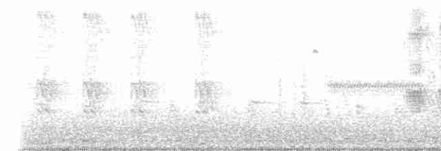 Snowy Egret - ML617684006