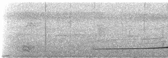 Лінивка-смугохвіст панамська - ML617685516
