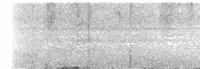 Тиранчик-тонкодзьоб південний - ML617685608