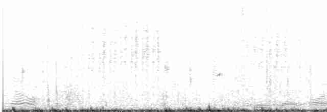 Troglodyte des marais - ML617685934