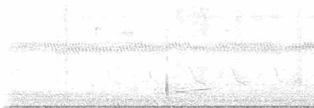 Al Kanatlı Karatavuk [phoeniceus grubu] - ML617686231