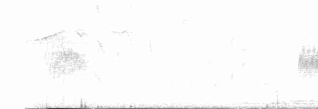 オビナシショウドウツバメ - ML617687203