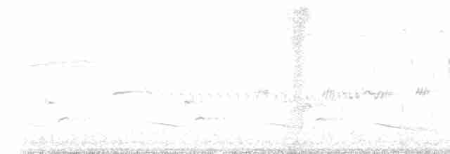 Sinsonte Norteño - ML617687554