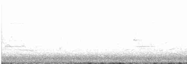Loggerhead Shrike - ML617688229
