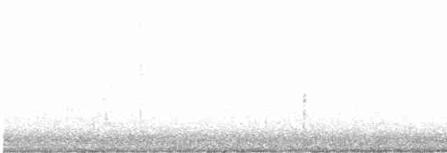 leskot modrošedý [skupina obscura] - ML617688618