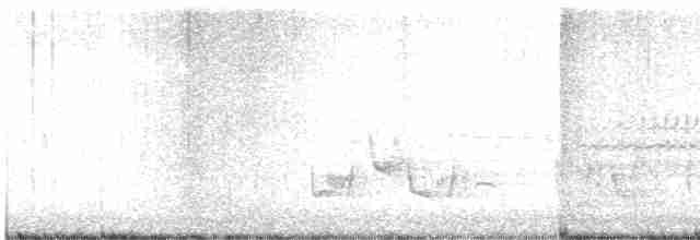 Тремблер прямодзьобий - ML617689854