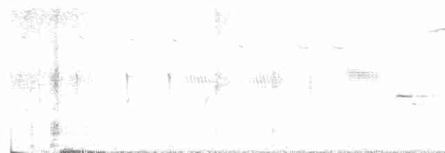 White-eyed Vireo - ML617690644