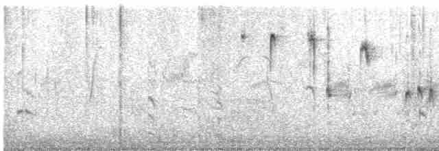 Black-browed Reed Warbler - ML617690829