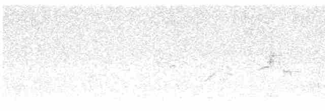 Oriole des vergers - ML617690894