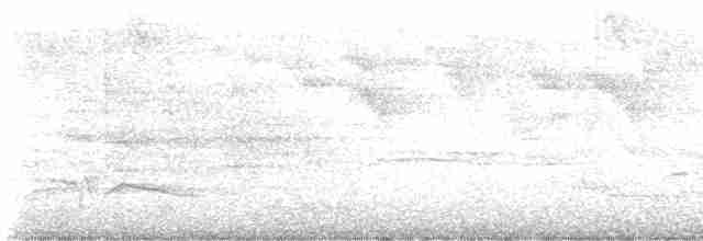 Зернолуск великий - ML617692165