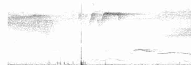 Зернолуск білогорлий - ML617692248