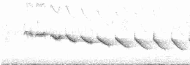 Каньонный крапивник - ML617693073