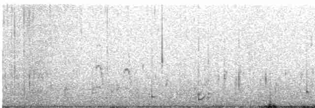 Common Tern - ML617693657