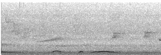 holub neotropický - ML617693913