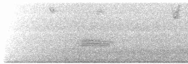 Turuncu Ardıç - ML617695392