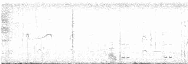 Канадский веретенник - ML617695596