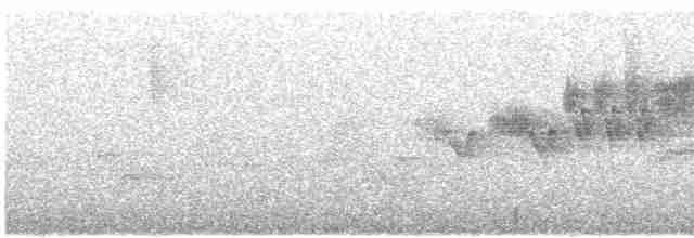 Cerulean Warbler - ML617695636