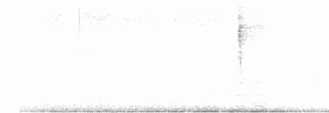 Turuncu Karınlı Çinte - ML617698773