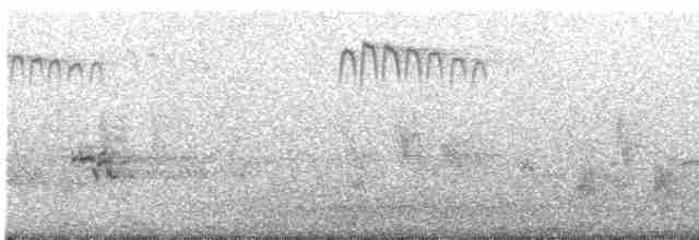 紅頭山雀(concinnus群) - ML617698935