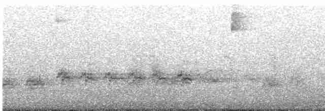 紅頭山雀(concinnus群) - ML617698936