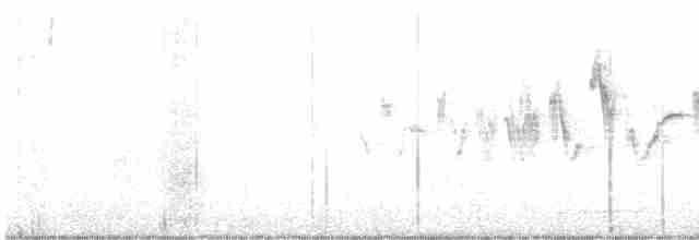 Sperlingsvogel, unbestimmt - ML617699269