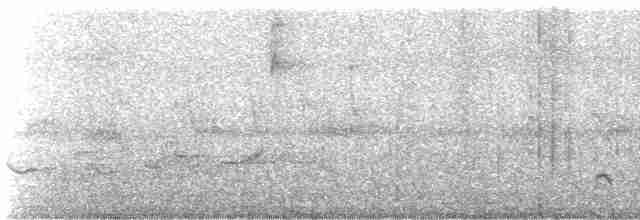 Northern White-fringed Antwren - ML617700074