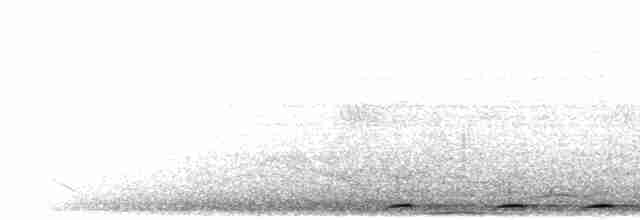 White-eared Brown-Dove - ML617702805
